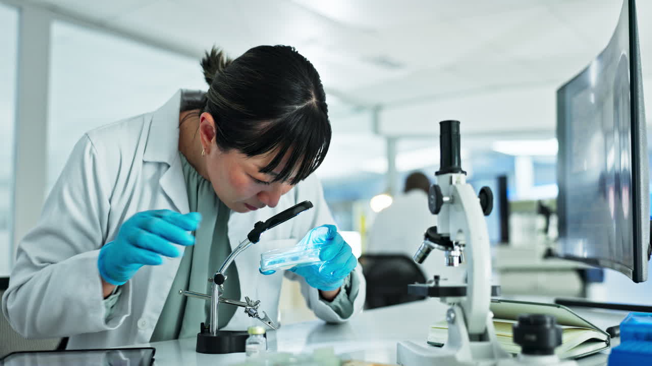 입자, 확대 유리