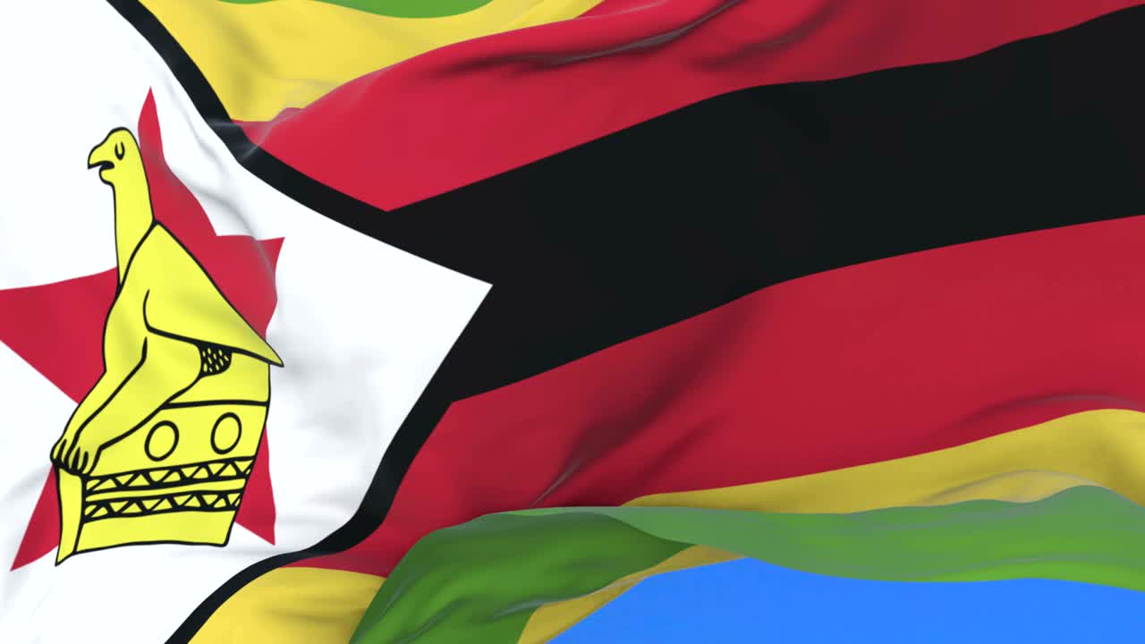 짐바브웨의 발이 파란 하늘과 함께 느리게 바람에 흔들리고, 루프