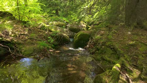 Slow-motion-footage-of-the-Vkadaya-river-flowing-through-the-lush-forest-in-Vitosha-mountain,-near-Sofia,-Bulgaria