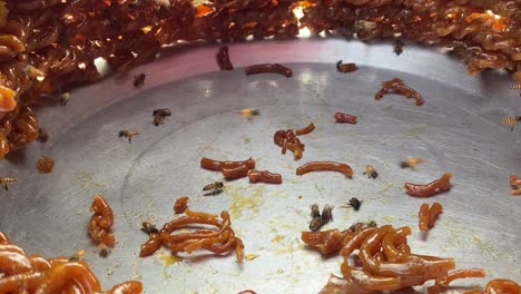 honey bees on sweet dish with broken pieces of orange jalebi in shop front, close up shot