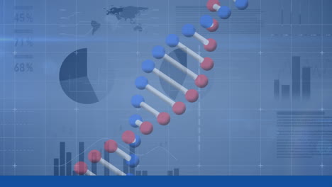 animación de la cadena de adn que gira sobre el procesamiento de datos médicos