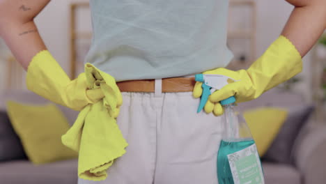 woman, back and detergent for housekeeping