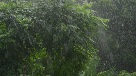 heavy rains are occurring during the rainy season due to the arrival of monsoon winds