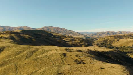 paralaje de drones de laderas ondulantes durante la hora dorada