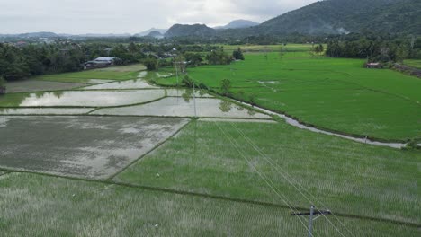 fly over vast landscape of agricultural farmland in rural town near virac, catanduanes, philippines