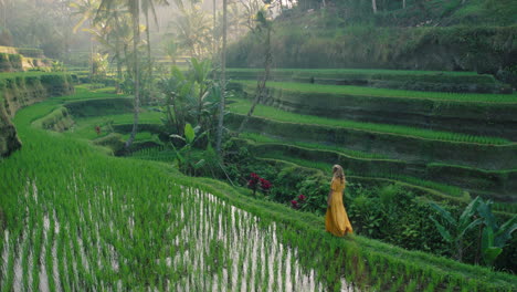 Reisefrau-Im-Reisfeld-In-Gelbem-Kleid,-Die-Auf-Der-Reisterrasse-Spaziert-Und-Die-Kulturlandschaft-Im-Exotischen-Urlaub-Durch-Bali,-Indonesien,-Entdeckt