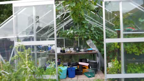 Walking-in-to-a-greenhouse