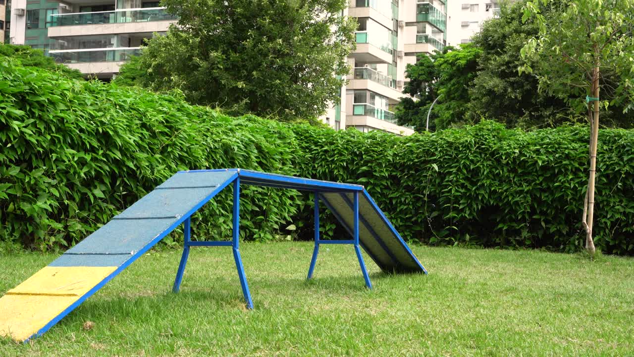 피트 불 개는 운동을 할 때 장애물을 뛰어내리고 개 공원에서 놀고 있습니다. 개는 램프와 타이어와 같은 장난감으로 운동을 할 수 있습니다.