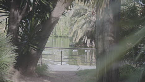 Lovely-Beautiful-Day-At-Parque-De-La-Ciutadella-Park-Barcelona-Spain