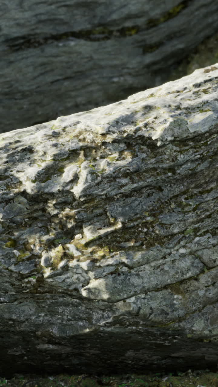 Majestic rock formations reveal natures artistry in a serene green landscape