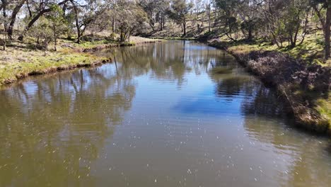 drone camera smoothly glides above a calm stream bordered by trees and grassy banks under bright daylight, capturing natural reflections and serene landscape