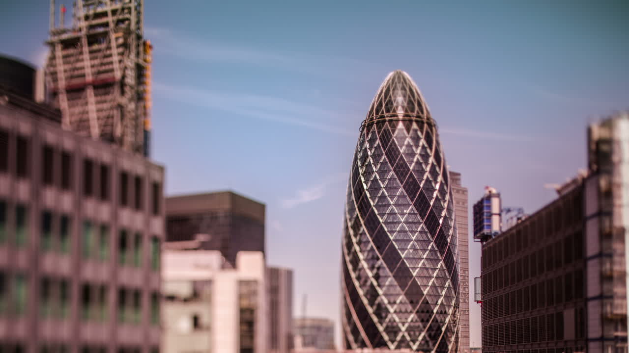 작은 오이 필터 03