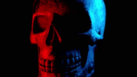 dual-toned skull in the dark