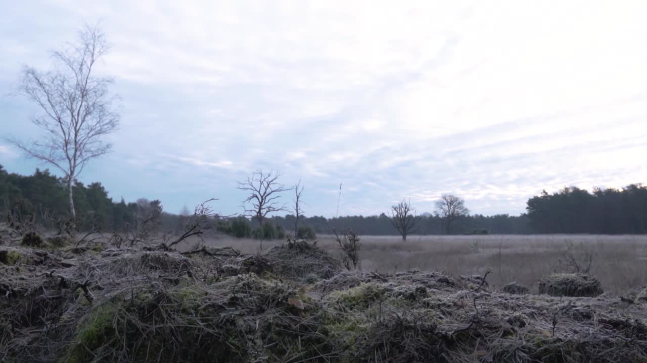 얼어붙은 겨울 풍경
