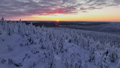 vista aérea sobre el bosque nevado con la última luz del sol antes de la noche polar en laplandia