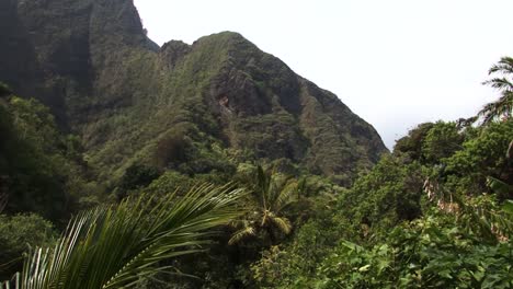 iao valley state park,west maui mountains and the rainforest, hawaii