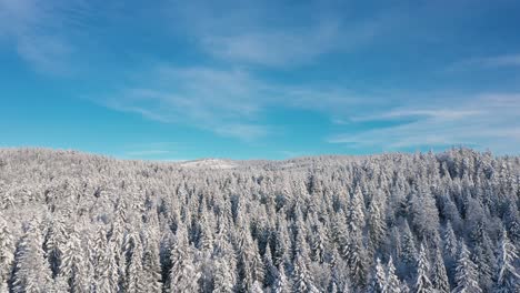 Atemberaubende-Drohnenaufnahmen-über-Einem-Schneebedeckten-Wald