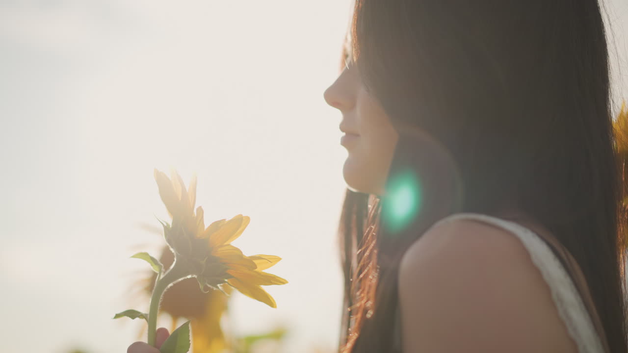해바라기 향기를 맡고 있는 백인 여성의 클로즈업된 손과 옆모습, 꽃잎에 닿는 햇빛, 꿈결 같은 렌즈 플레어, 부드러운 역광, 따뜻한 여름 분위기, 반사된 인물 사진