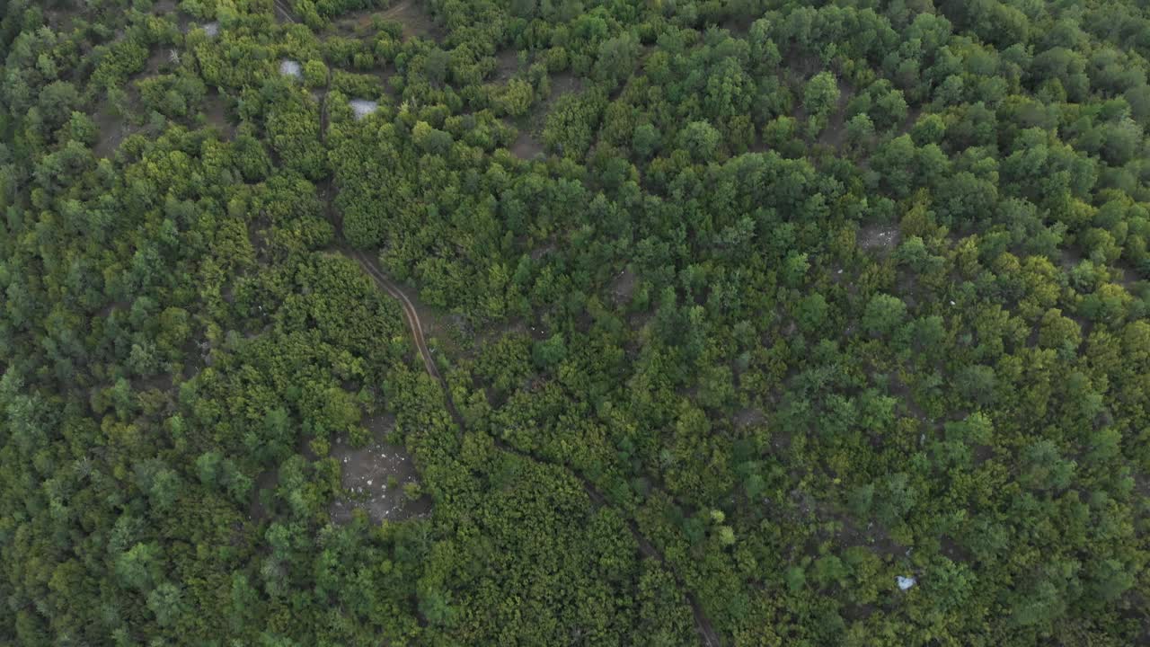 video de drones volando sobre un verde bosque denso vegetación caminos de tierra
