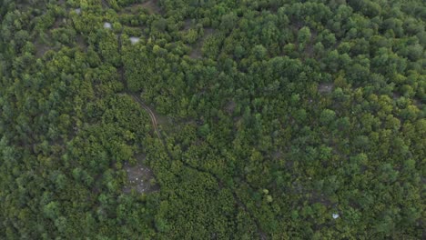 Drohnenvideo,-Das-über-Unbefestigte-Straßen-Mit-Grüner,-Dichter-Waldvegetation-Fliegt