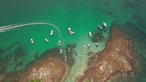 mar verde en isla paradisíaca en río de janeiro