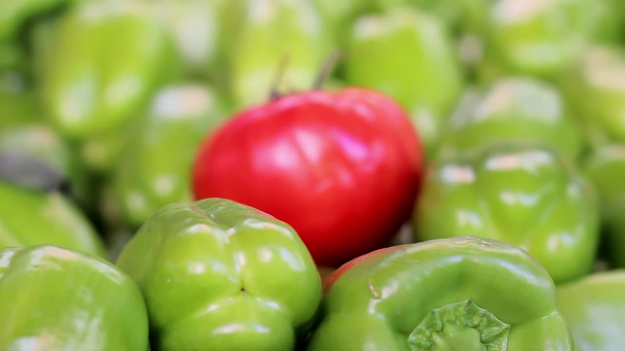 채소 가게 에서 채소 와 과일 을 구입 하는 사람 8