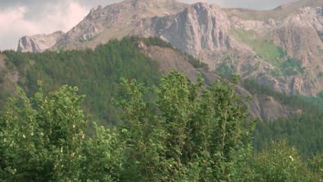 Looking-up-above-the-green-treetops-to-the-mountain-peaks-above-Barcelonnette,-France