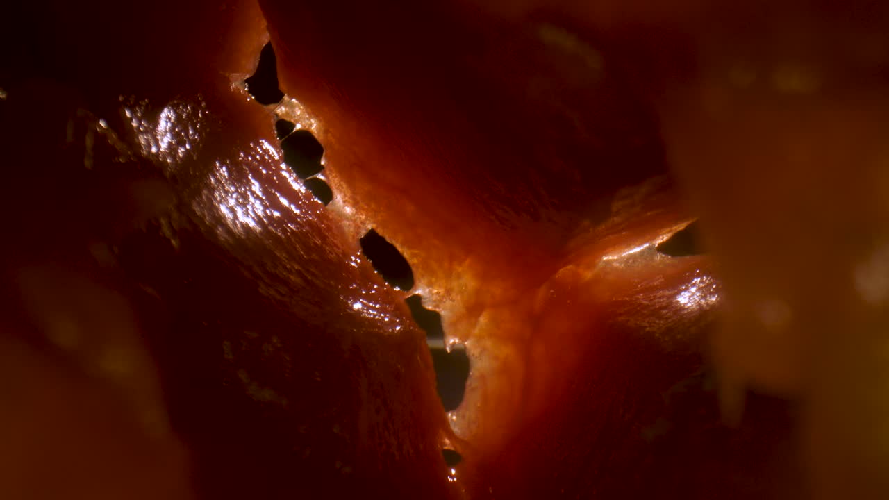 viaje macro por el interior de una sandía