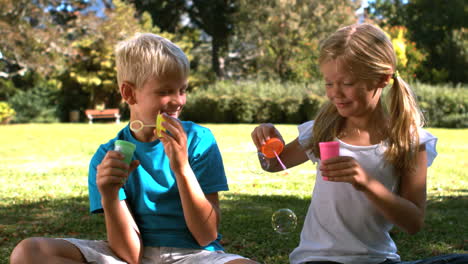 Siblings-having-fun-with-bubbles-