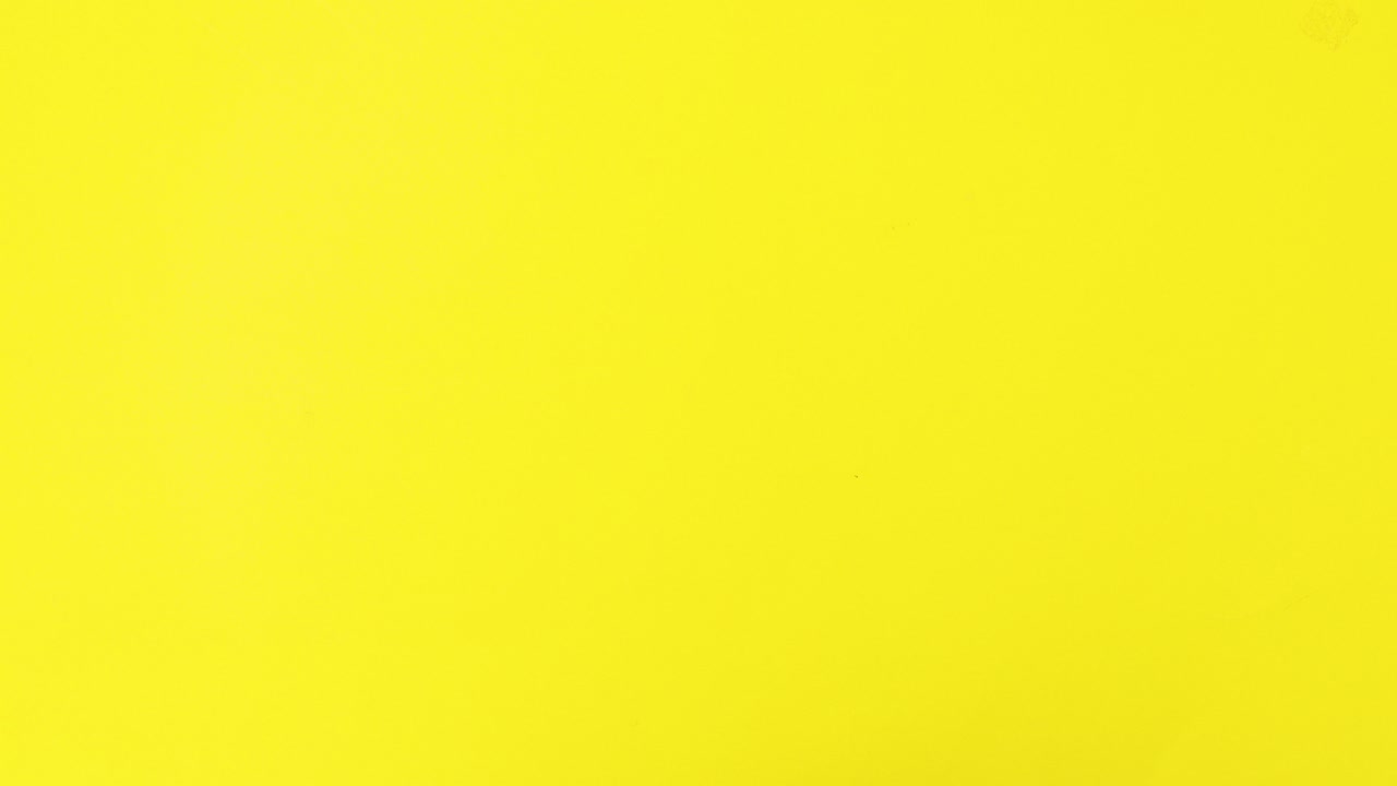 Fresh eggs making circle on yellow theme. Stop motion