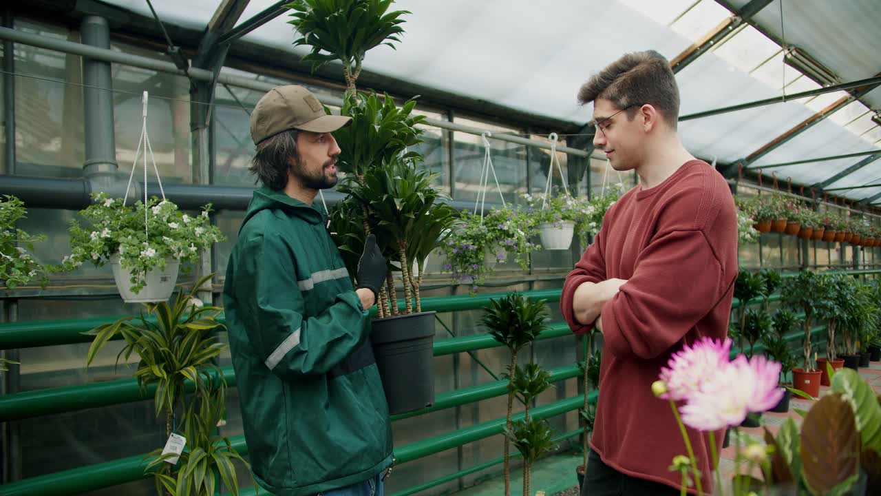 Jardineros Expertos: Consejos Profesionales sobre Cuidado y Precios de Plantas.