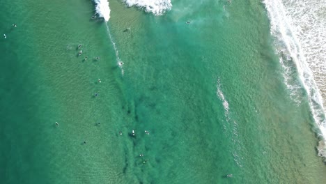 Surfers-At-Clear-Blue-Water-Of-Bondi-Beach-In-Summer---Surfing-Destination-During-Summer-In-Bondi,-NSW,-Australia
