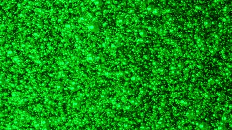 colorful abstract oil bubbles on water on the green light background.