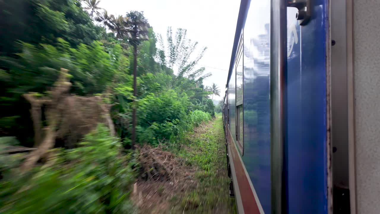 Train is moving through a lush green forest in rural sri lanka, providing a glimpse of the beautiful scenery