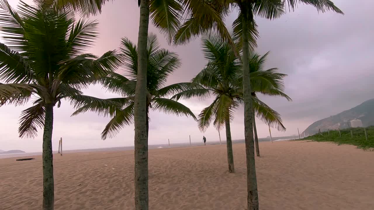 Slow motion handheld walking through a group of trunks and leafs of palm trees on the Rio de Janeiro beach at golden hour sunrise with one person in the background walking around