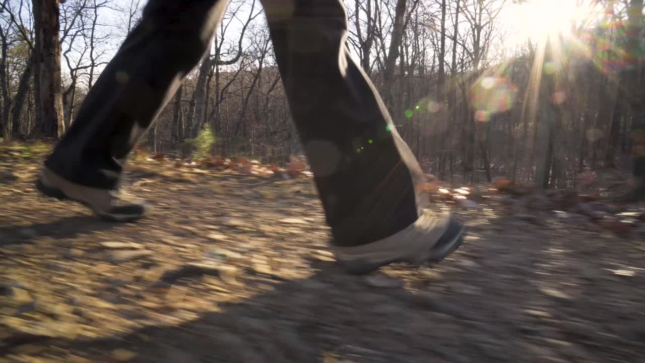 Walking on a forest trail