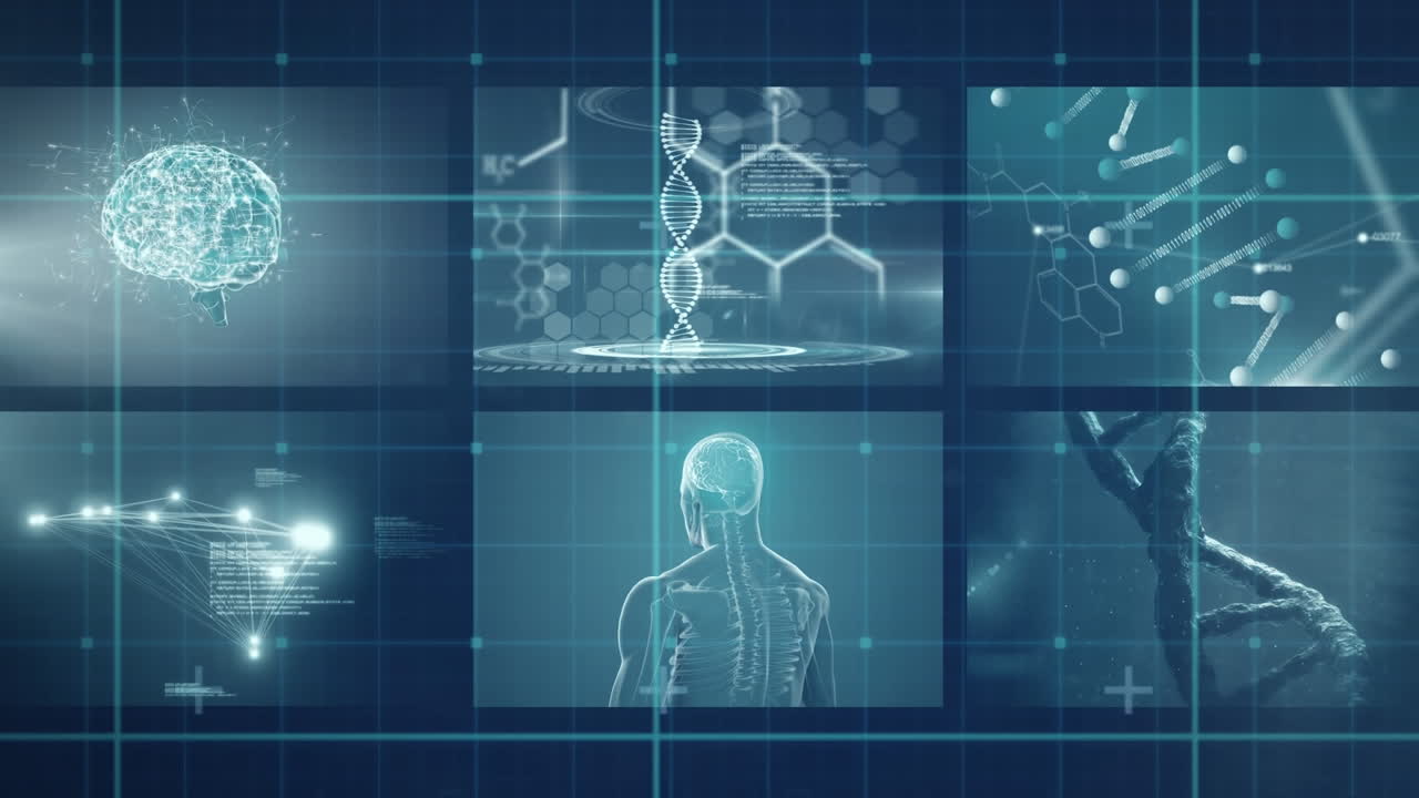 Grid network against medical data processing