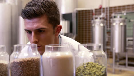 Brewery-worker-checking-the-ingredients