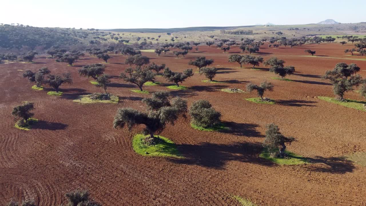 Extremadura Spain Espa&ntilde;a