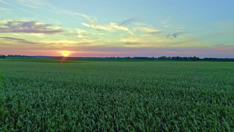 Green-agriculture-fields-crops-and-sun-setting-down-in-horizon,-aerial-fly-backward