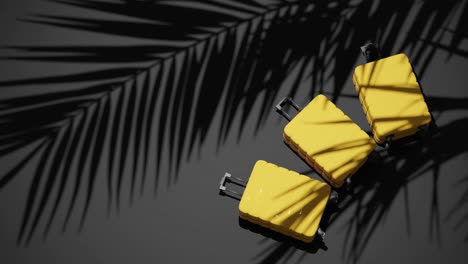 Suitcases-on-tropical-black-background