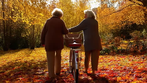 two elderly women walking a bicycle through a park in autumn