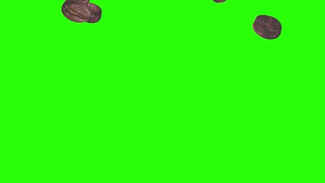animación realista de granos de café elemento gráfico en pantalla verde tecla de croma