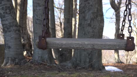 primer plano de columpio oxidado de madera en árboles, fondo de bosque, material de archivo 4k