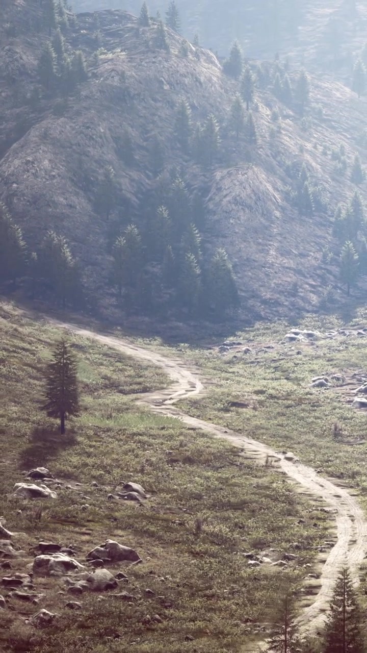 Road winds through hills and trees in a rural area during daylight