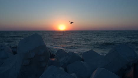 Möwenvogel,-Der-Bei-Sonnenaufgang-über-Dem-Meer-Durch-Die-Skyline-Fliegt