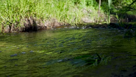 beautiful flowing water footage done in estonia during the summer time in 4k