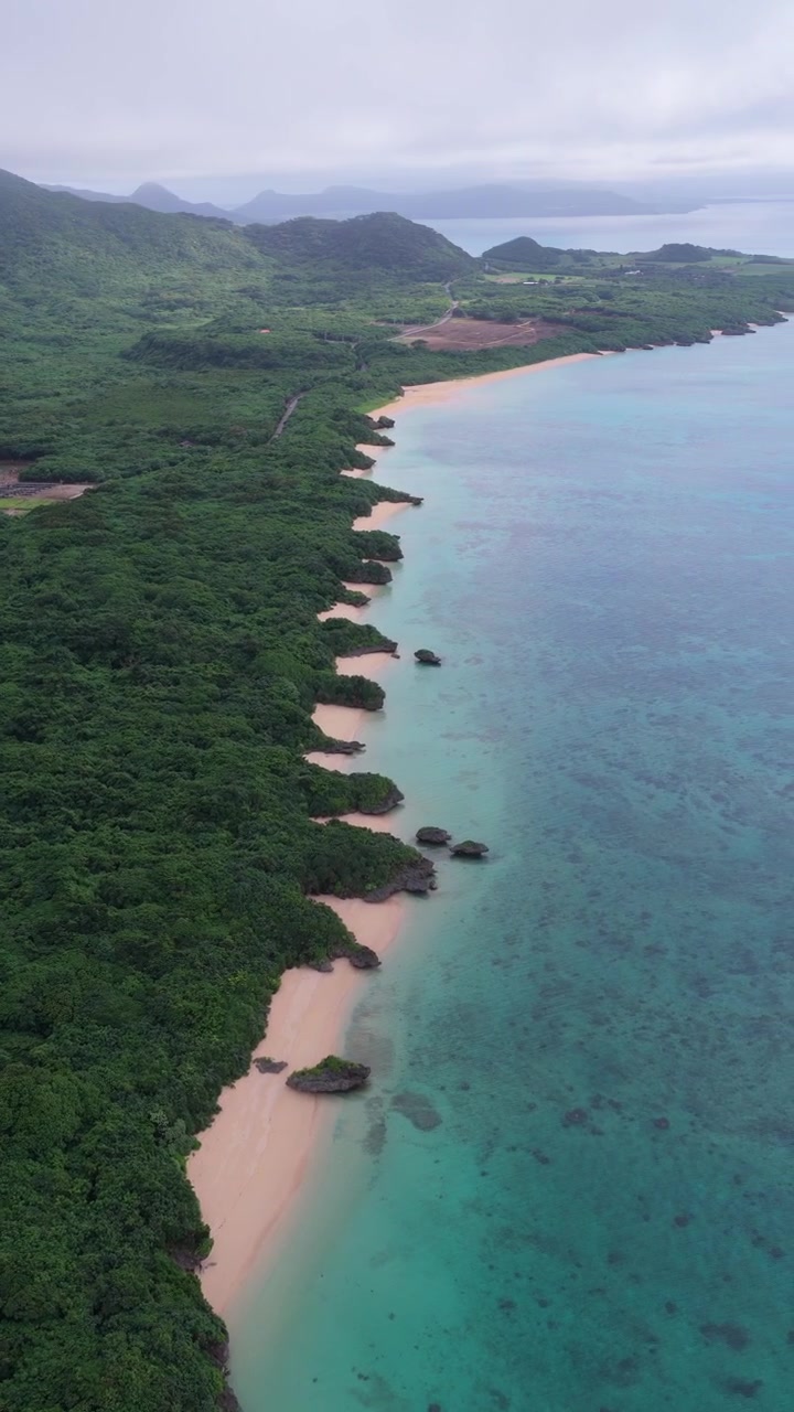 Riprese aeree verticali con panoramica a destra e carrellata in avanti con una leggera inclinazione verso il basso su Hirakubo Beach e la costa tropicale sull'isola di Ishigaki, Okinawa, Giappone