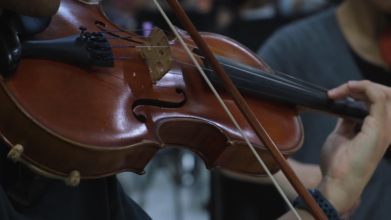 Violin Player plays a certain music, left-hand fingers attack the notes with vibrato as the right-hand bows the notes together with others performers
