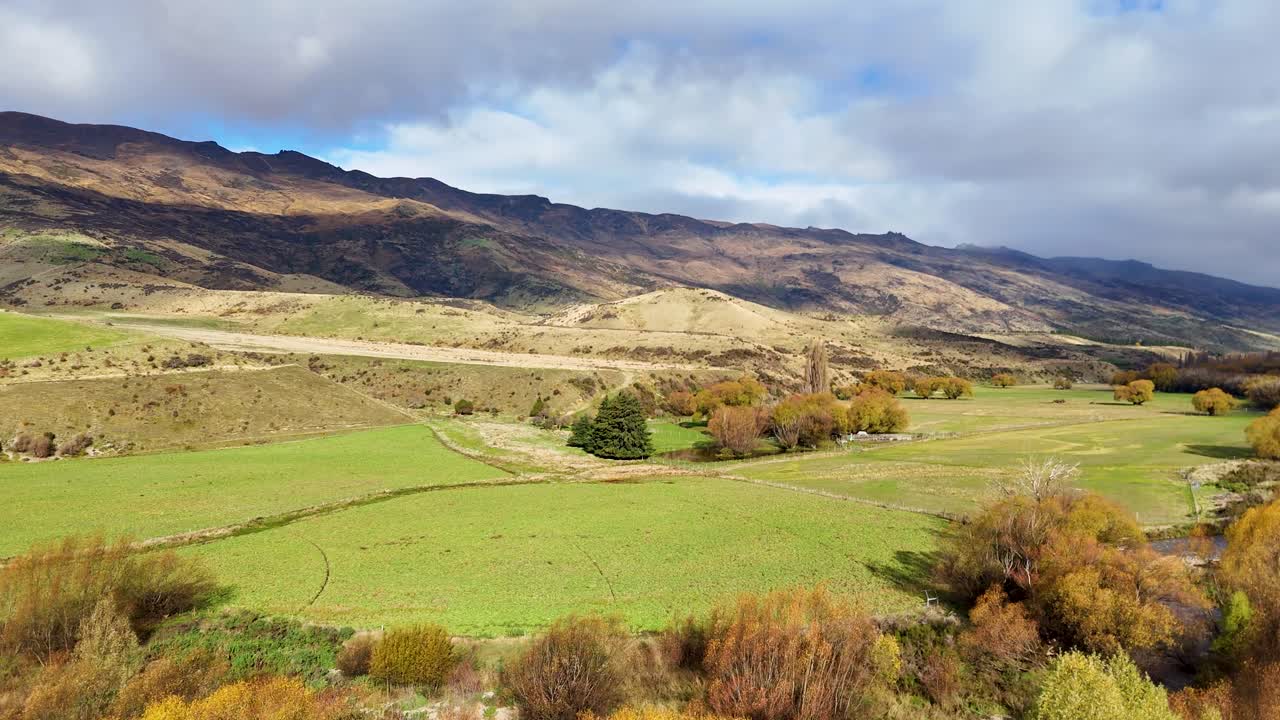 Drone glides above rolling farmland with autumn trees, revealing expansive green fields, distant hills, and dramatic skies in Wanaka, New Zealand